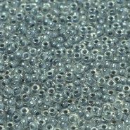 Miyuki seed beads 11/0 - Fancy lined pearl grey 11-240
